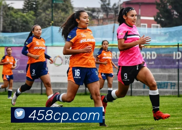互动解说服务